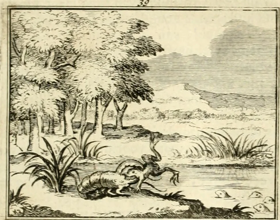 An illustration from Sinryke fabulen : verklaart en toegepast tot alderley zeede-lessen, dienstig om waargenoomen te werden in het menschelijke en burgerlijke leeven, 1685, leaf 226