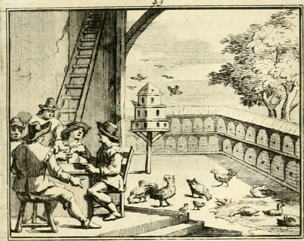 An illustration from Sinryke fabulen : verklaart en toegepast tot alderley zeede-lessen, dienstig om waargenoomen te werden in het menschelijke en burgerlijke leeven, 1685, leaf 250