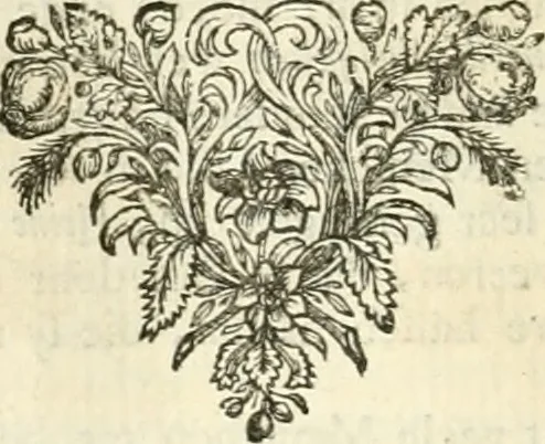 An illustration from Sinryke fabulen : verklaart en toegepast tot alderley zeede-lessen, dienstig om waargenoomen te werden in het menschelijke en burgerlijke leeven, 1685, leaf 255