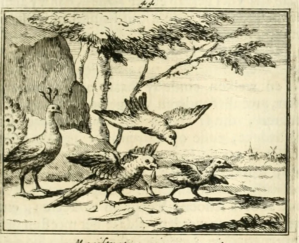An illustration from Sinryke fabulen : verklaart en toegepast tot alderley zeede-lessen, dienstig om waargenoomen te werden in het menschelijke en burgerlijke leeven, 1685, leaf 256