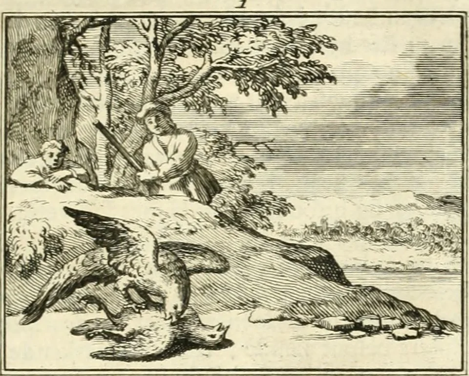 An illustration from Sinryke fabulen : verklaart en toegepast tot alderley zeede-lessen, dienstig om waargenoomen te werden in het menschelijke en burgerlijke leeven, 1685, leaf 26