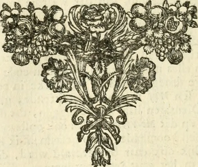 An illustration from Sinryke fabulen : verklaart en toegepast tot alderley zeede-lessen, dienstig om waargenoomen te werden in het menschelijke en burgerlijke leeven, 1685, leaf 279