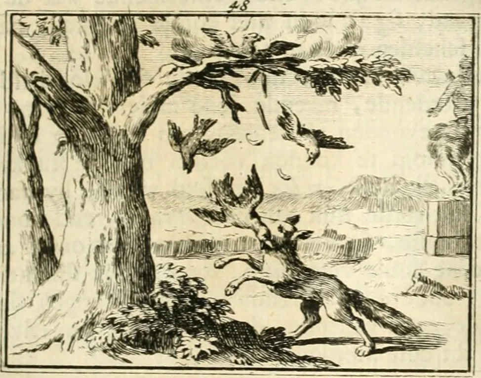 An illustration from Sinryke fabulen : verklaart en toegepast tot alderley zeede-lessen, dienstig om waargenoomen te werden in het menschelijke en burgerlijke leeven, 1685, leaf 280