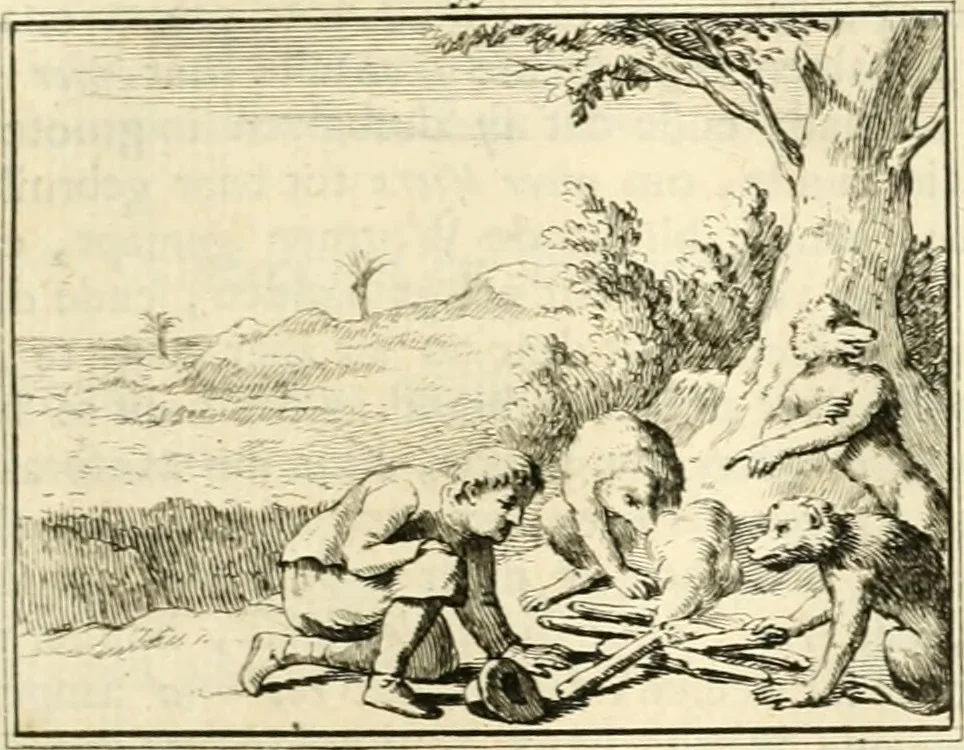 An illustration from Sinryke fabulen : verklaart en toegepast tot alderley zeede-lessen, dienstig om waargenoomen te werden in het menschelijke en burgerlijke leeven, 1685, leaf 286