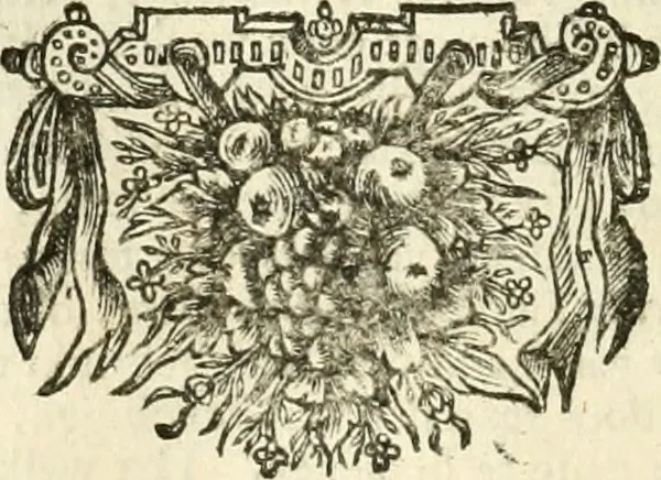 An illustration from Sinryke fabulen : verklaart en toegepast tot alderley zeede-lessen, dienstig om waargenoomen te werden in het menschelijke en burgerlijke leeven, 1685, leaf 299