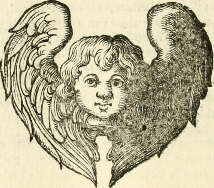An illustration from Sinryke fabulen : verklaart en toegepast tot alderley zeede-lessen, dienstig om waargenoomen te werden in het menschelijke en burgerlijke leeven, 1685, leaf 341