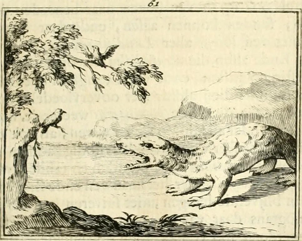 An illustration from Sinryke fabulen : verklaart en toegepast tot alderley zeede-lessen, dienstig om waargenoomen te werden in het menschelijke en burgerlijke leeven, 1685, leaf 372