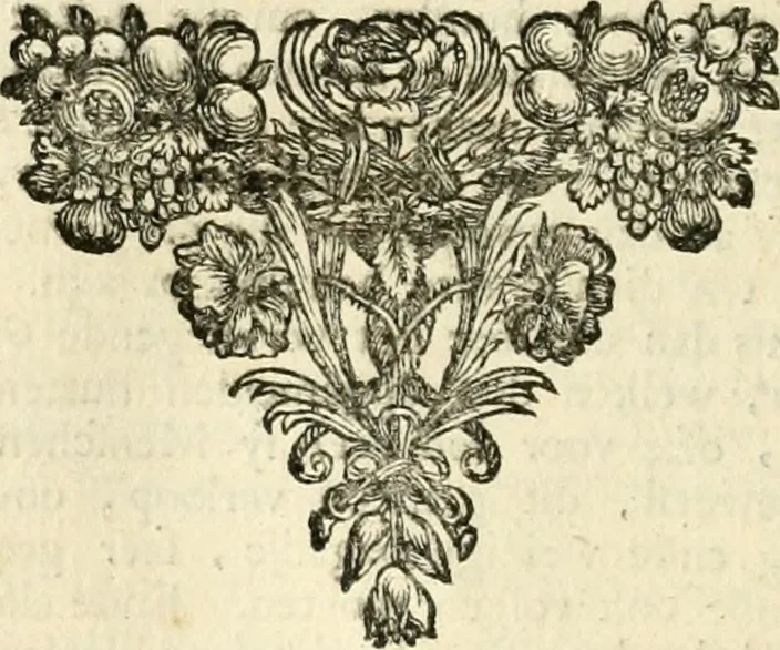 An illustration from Sinryke fabulen : verklaart en toegepast tot alderley zeede-lessen, dienstig om waargenoomen te werden in het menschelijke en burgerlijke leeven, 1685, leaf 379