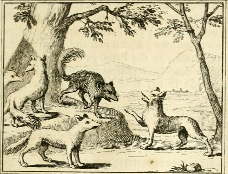 An illustration from Sinryke fabulen : verklaart en toegepast tot alderley zeede-lessen, dienstig om waargenoomen te werden in het menschelijke en burgerlijke leeven, 1685, leaf 380