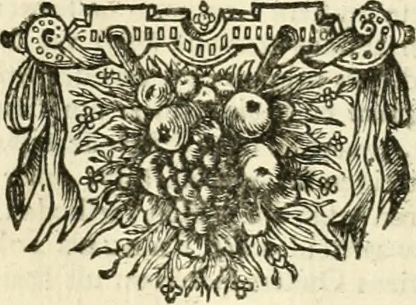 An illustration from Sinryke fabulen : verklaart en toegepast tot alderley zeede-lessen, dienstig om waargenoomen te werden in het menschelijke en burgerlijke leeven, 1685, leaf 395
