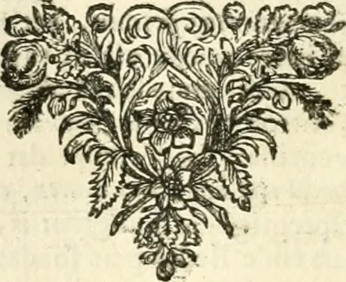 An illustration from Sinryke fabulen : verklaart en toegepast tot alderley zeede-lessen, dienstig om waargenoomen te werden in het menschelijke en burgerlijke leeven, 1685, leaf 413