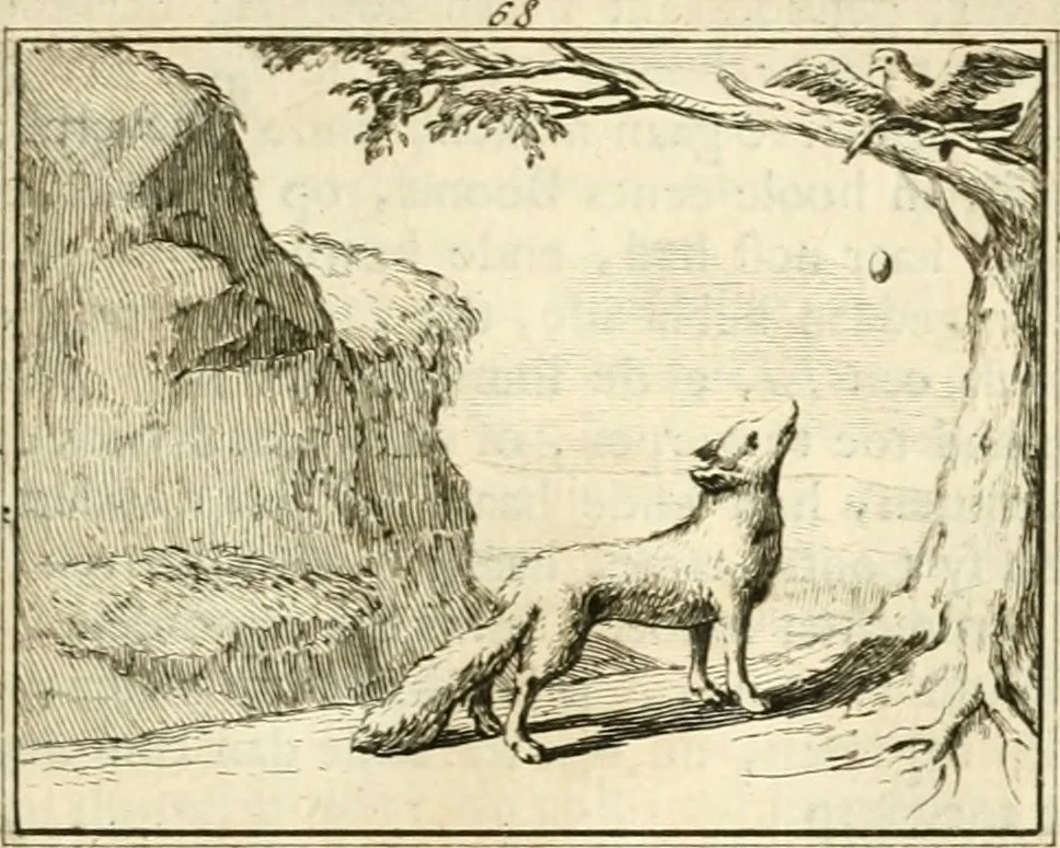 An illustration from Sinryke fabulen : verklaart en toegepast tot alderley zeede-lessen, dienstig om waargenoomen te werden in het menschelijke en burgerlijke leeven, 1685, leaf 428