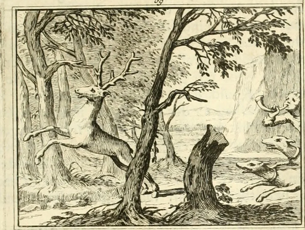 An illustration from Sinryke fabulen : verklaart en toegepast tot alderley zeede-lessen, dienstig om waargenoomen te werden in het menschelijke en burgerlijke leeven, 1685, leaf 438