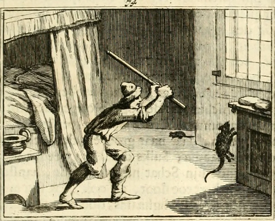 An illustration from Sinryke fabulen : verklaart en toegepast tot alderley zeede-lessen, dienstig om waargenoomen te werden in het menschelijke en burgerlijke leeven, 1685, leaf 480