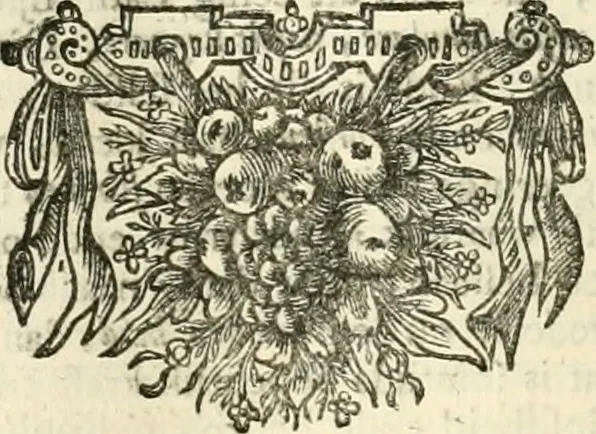 An illustration from Sinryke fabulen : verklaart en toegepast tot alderley zeede-lessen, dienstig om waargenoomen te werden in het menschelijke en burgerlijke leeven, 1685, leaf 505