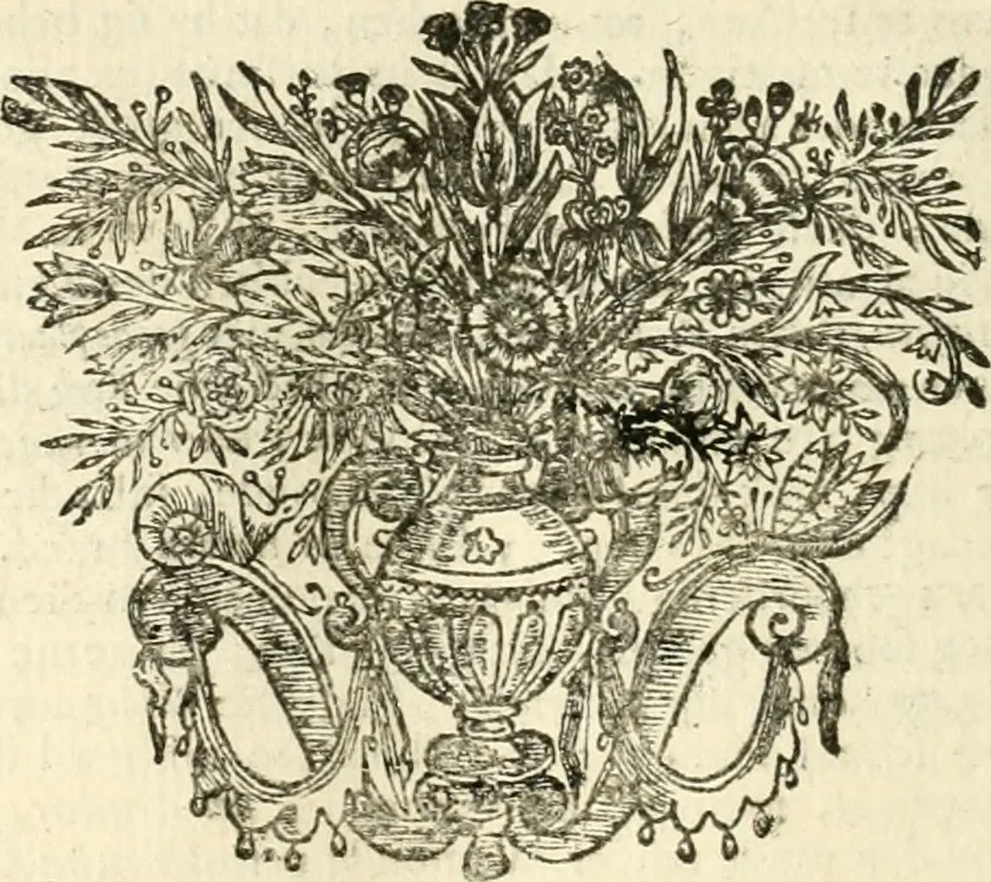 An illustration from Sinryke fabulen : verklaart en toegepast tot alderley zeede-lessen, dienstig om waargenoomen te werden in het menschelijke en burgerlijke leeven, 1685, leaf 517