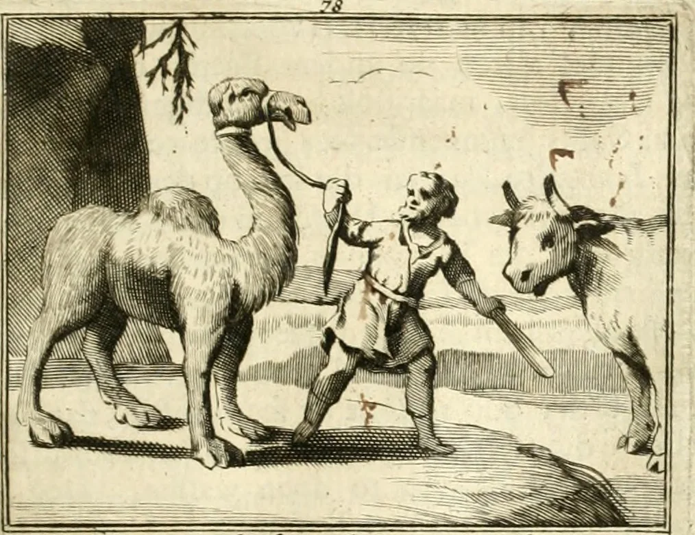 An illustration from Sinryke fabulen : verklaart en toegepast tot alderley zeede-lessen, dienstig om waargenoomen te werden in het menschelijke en burgerlijke leeven, 1685, leaf 518