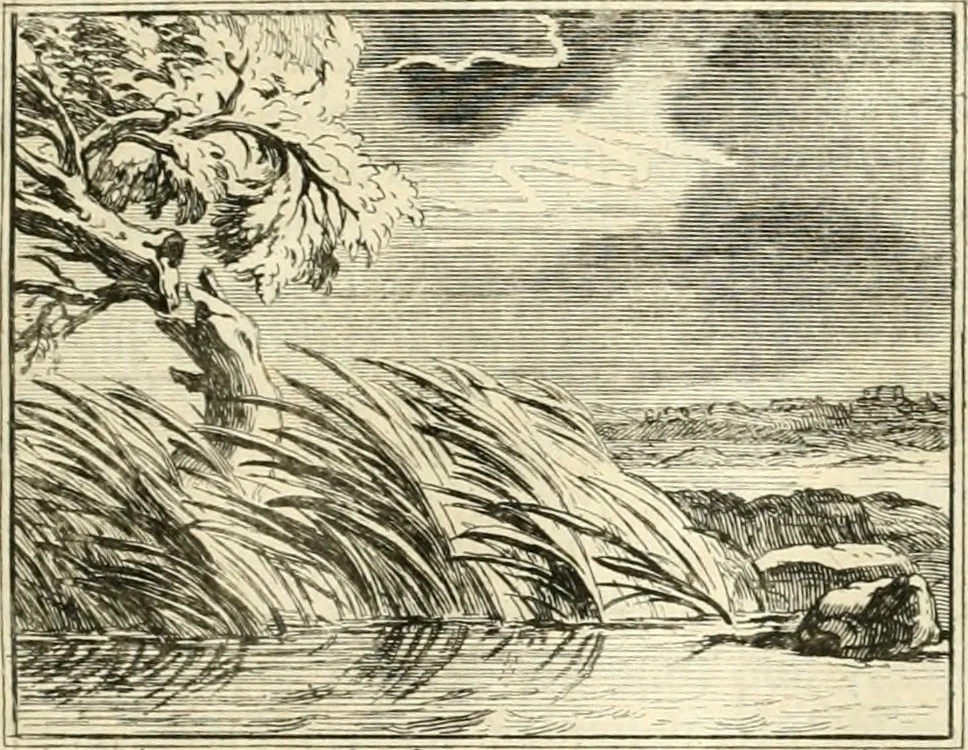 An illustration from Sinryke fabulen : verklaart en toegepast tot alderley zeede-lessen, dienstig om waargenoomen te werden in het menschelijke en burgerlijke leeven, 1685, leaf 568