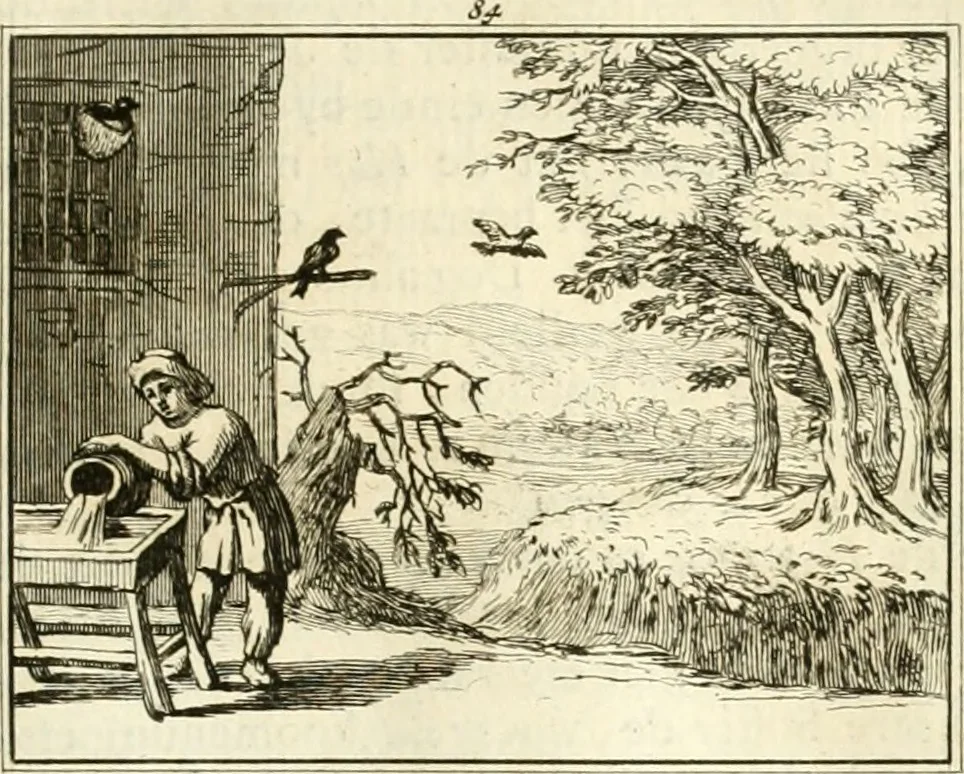 An illustration from Sinryke fabulen : verklaart en toegepast tot alderley zeede-lessen, dienstig om waargenoomen te werden in het menschelijke en burgerlijke leeven, 1685, leaf 580