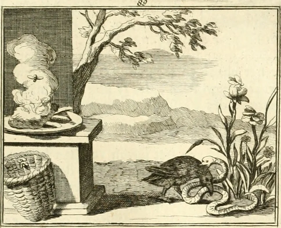 An illustration from Sinryke fabulen : verklaart en toegepast tot alderley zeede-lessen, dienstig om waargenoomen te werden in het menschelijke en burgerlijke leeven, 1685, leaf 634