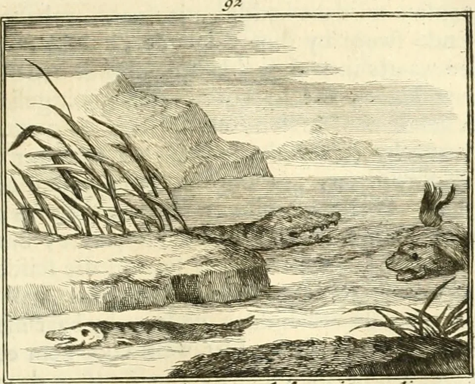 An illustration from Sinryke fabulen : verklaart en toegepast tot alderley zeede-lessen, dienstig om waargenoomen te werden in het menschelijke en burgerlijke leeven, 1685, leaf 664