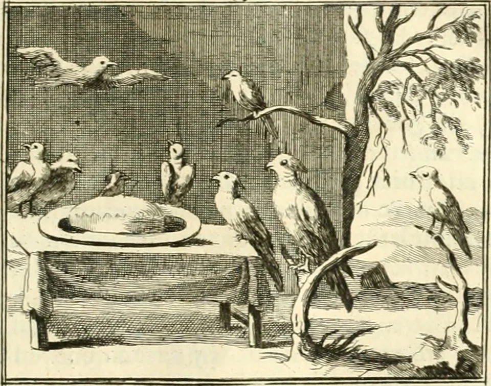 An illustration from Sinryke fabulen : verklaart en toegepast tot alderley zeede-lessen, dienstig om waargenoomen te werden in het menschelijke en burgerlijke leeven, 1685, leaf 682