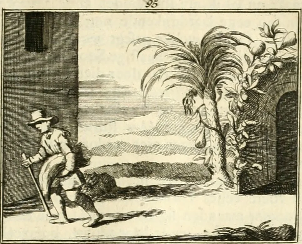 An illustration from Sinryke fabulen : verklaart en toegepast tot alderley zeede-lessen, dienstig om waargenoomen te werden in het menschelijke en burgerlijke leeven, 1685, leaf 692