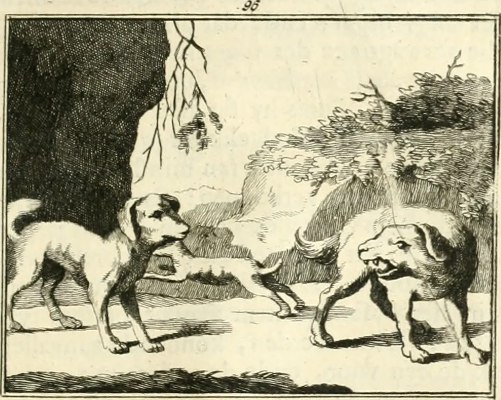 An illustration from Sinryke fabulen : verklaart en toegepast tot alderley zeede-lessen, dienstig om waargenoomen te werden in het menschelijke en burgerlijke leeven, 1685, leaf 700