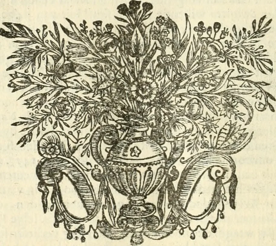 An illustration from Sinryke fabulen : verklaart en toegepast tot alderley zeede-lessen, dienstig om waargenoomen te werden in het menschelijke en burgerlijke leeven, 1685, leaf 707