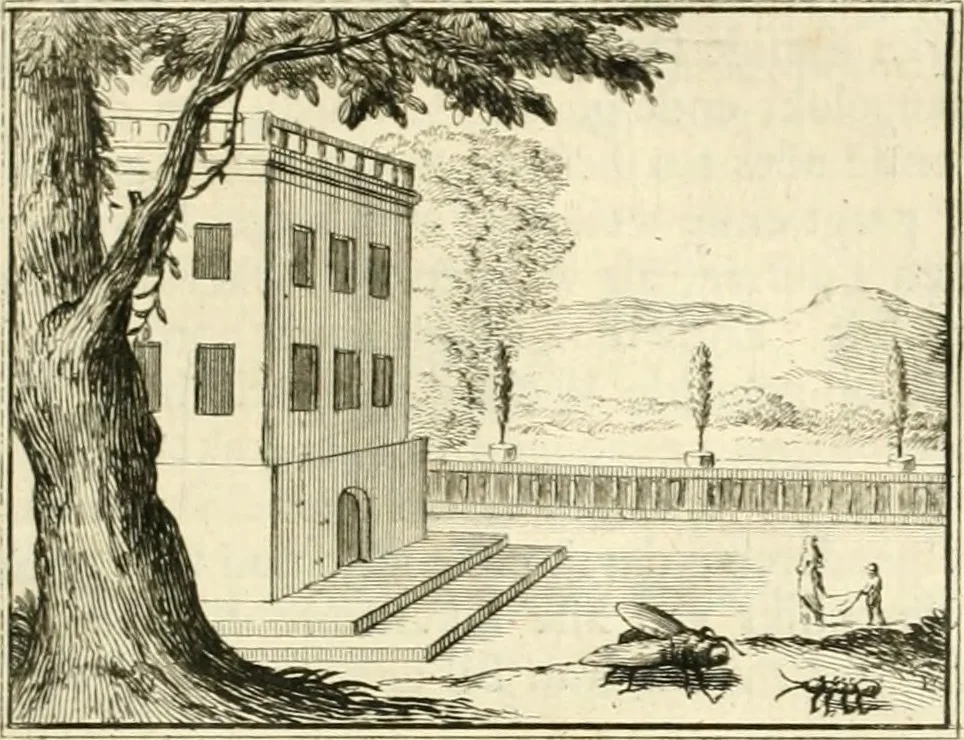 An illustration from Sinryke fabulen : verklaart en toegepast tot alderley zeede-lessen, dienstig om waargenoomen te werden in het menschelijke en burgerlijke leeven, 1685, leaf 72