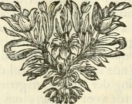 An illustration from Sinryke fabulen : verklaart en toegepast tot alderley zeede-lessen, dienstig om waargenoomen te werden in het menschelijke en burgerlijke leeven, 1685, leaf 727