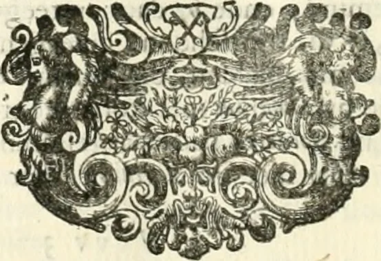 An illustration from Sinryke fabulen : verklaart en toegepast tot alderley zeede-lessen, dienstig om waargenoomen te werden in het menschelijke en burgerlijke leeven, 1685, leaf 735