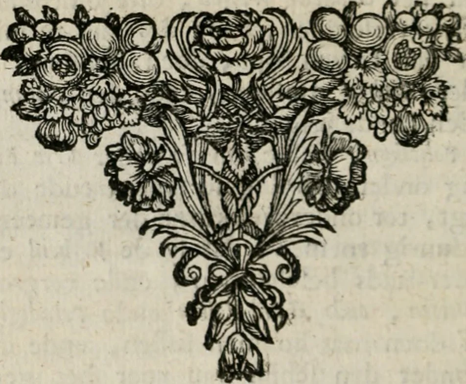 An illustration from Sinryke fabulen : verklaart en toegepast tot alderley zeede-lessen, dienstig om waargenoomen te werden in het menschelijke en burgerlijke leeven, 1685, leaf 139