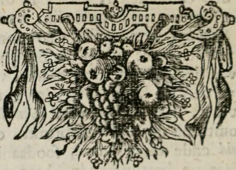An illustration from Sinryke fabulen : verklaart en toegepast tot alderley zeede-lessen, dienstig om waargenoomen te werden in het menschelijke en burgerlijke leeven, 1685, leaf 145