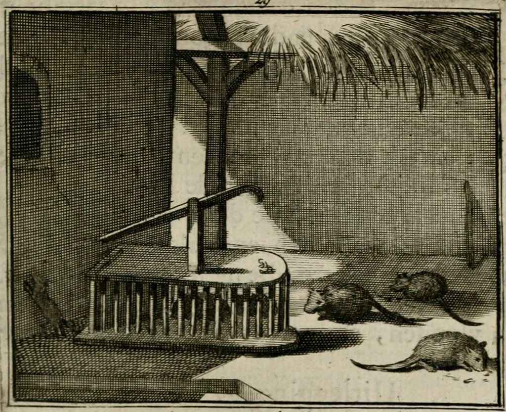 An illustration from Sinryke fabulen : verklaart en toegepast tot alderley zeede-lessen, dienstig om waargenoomen te werden in het menschelijke en burgerlijke leeven, 1685, leaf 170