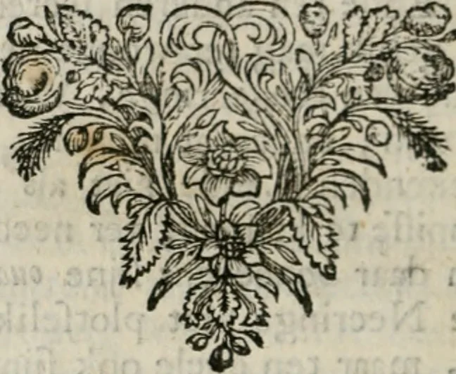 An illustration from Sinryke fabulen : verklaart en toegepast tot alderley zeede-lessen, dienstig om waargenoomen te werden in het menschelijke en burgerlijke leeven, 1685, leaf 193