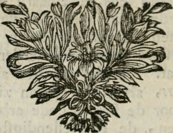 An illustration from Sinryke fabulen : verklaart en toegepast tot alderley zeede-lessen, dienstig om waargenoomen te werden in het menschelijke en burgerlijke leeven, 1685, leaf 199