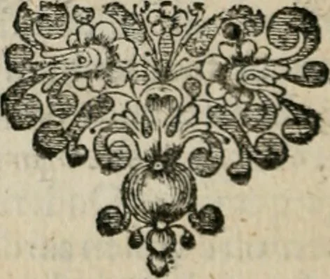 An illustration from Sinryke fabulen : verklaart en toegepast tot alderley zeede-lessen, dienstig om waargenoomen te werden in het menschelijke en burgerlijke leeven, 1685, leaf 205
