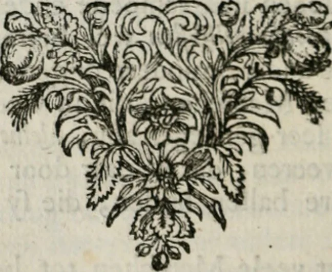 An illustration from Sinryke fabulen : verklaart en toegepast tot alderley zeede-lessen, dienstig om waargenoomen te werden in het menschelijke en burgerlijke leeven, 1685, leaf 255