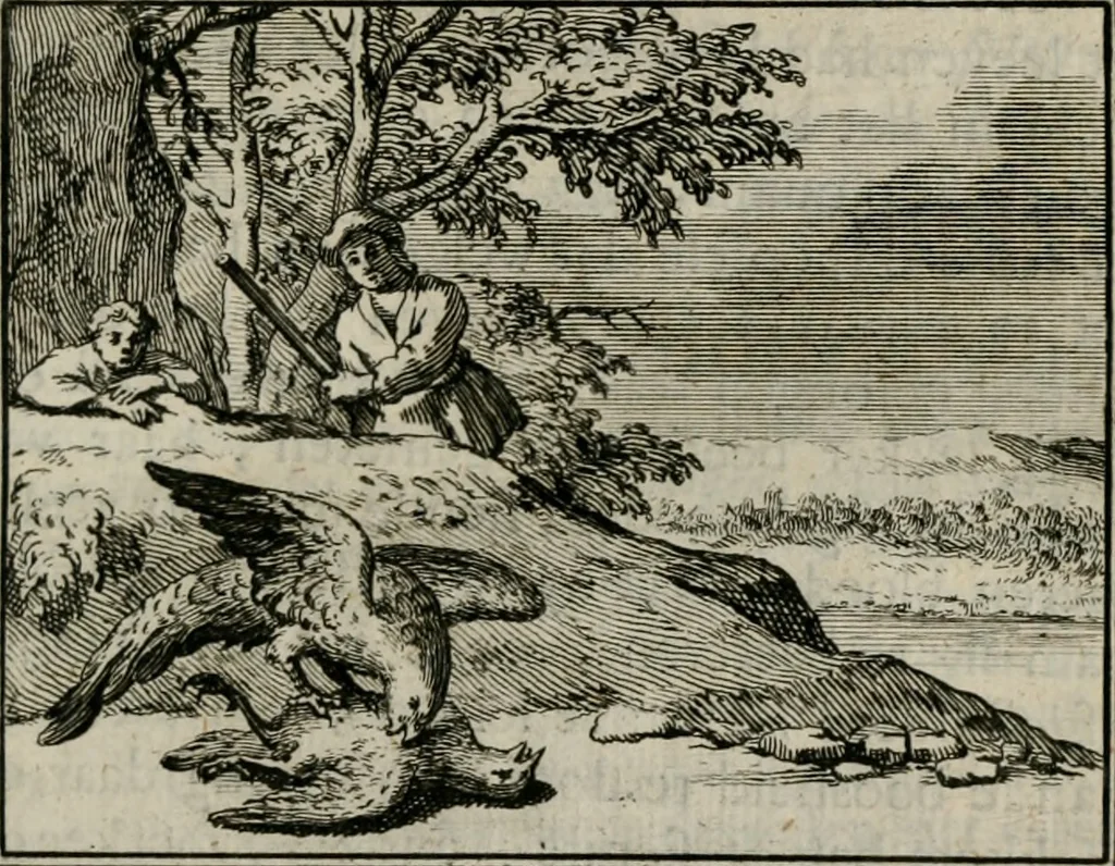 An illustration from Sinryke fabulen : verklaart en toegepast tot alderley zeede-lessen, dienstig om waargenoomen te werden in het menschelijke en burgerlijke leeven, 1685, leaf 26