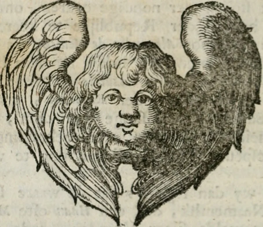 An illustration from Sinryke fabulen : verklaart en toegepast tot alderley zeede-lessen, dienstig om waargenoomen te werden in het menschelijke en burgerlijke leeven, 1685, leaf 273