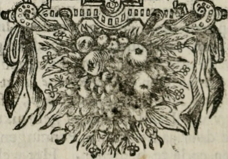 An illustration from Sinryke fabulen : verklaart en toegepast tot alderley zeede-lessen, dienstig om waargenoomen te werden in het menschelijke en burgerlijke leeven, 1685, leaf 299