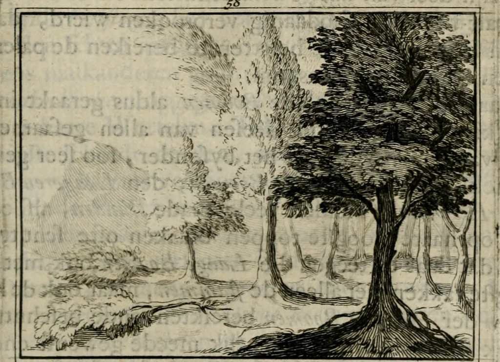 An illustration from Sinryke fabulen : verklaart en toegepast tot alderley zeede-lessen, dienstig om waargenoomen te werden in het menschelijke en burgerlijke leeven, 1685, leaf 350