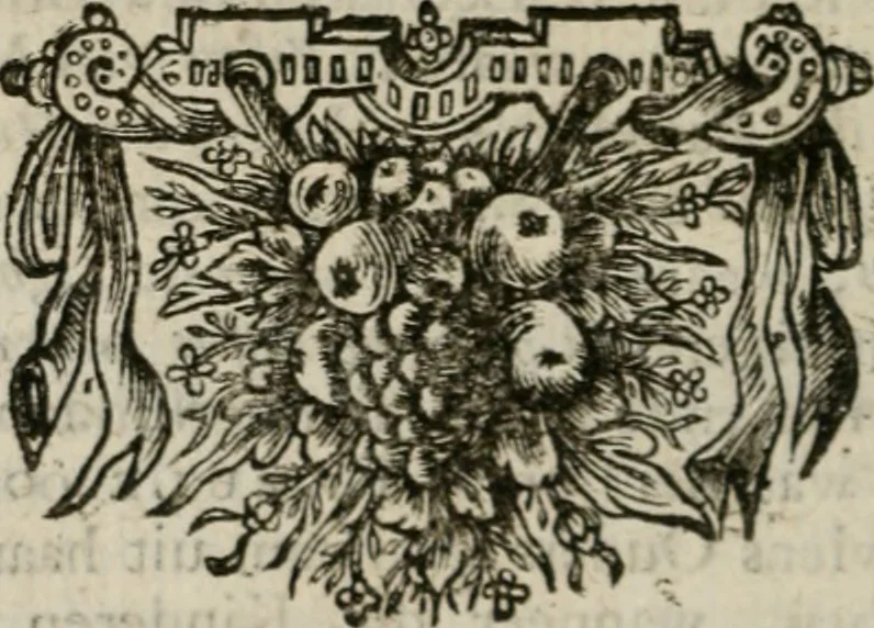 An illustration from Sinryke fabulen : verklaart en toegepast tot alderley zeede-lessen, dienstig om waargenoomen te werden in het menschelijke en burgerlijke leeven, 1685, leaf 395