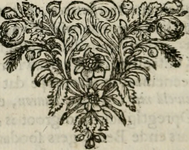 An illustration from Sinryke fabulen : verklaart en toegepast tot alderley zeede-lessen, dienstig om waargenoomen te werden in het menschelijke en burgerlijke leeven, 1685, leaf 413
