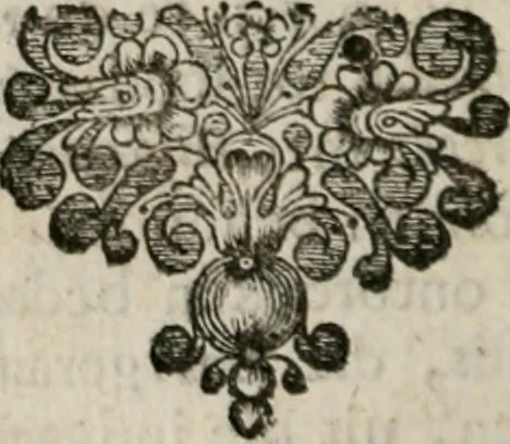 An illustration from Sinryke fabulen : verklaart en toegepast tot alderley zeede-lessen, dienstig om waargenoomen te werden in het menschelijke en burgerlijke leeven, 1685, leaf 437