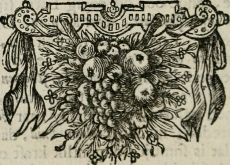 An illustration from Sinryke fabulen : verklaart en toegepast tot alderley zeede-lessen, dienstig om waargenoomen te werden in het menschelijke en burgerlijke leeven, 1685, leaf 505