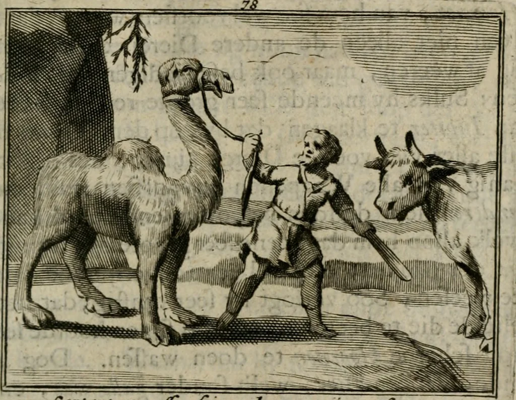 An illustration from Sinryke fabulen : verklaart en toegepast tot alderley zeede-lessen, dienstig om waargenoomen te werden in het menschelijke en burgerlijke leeven, 1685, leaf 518