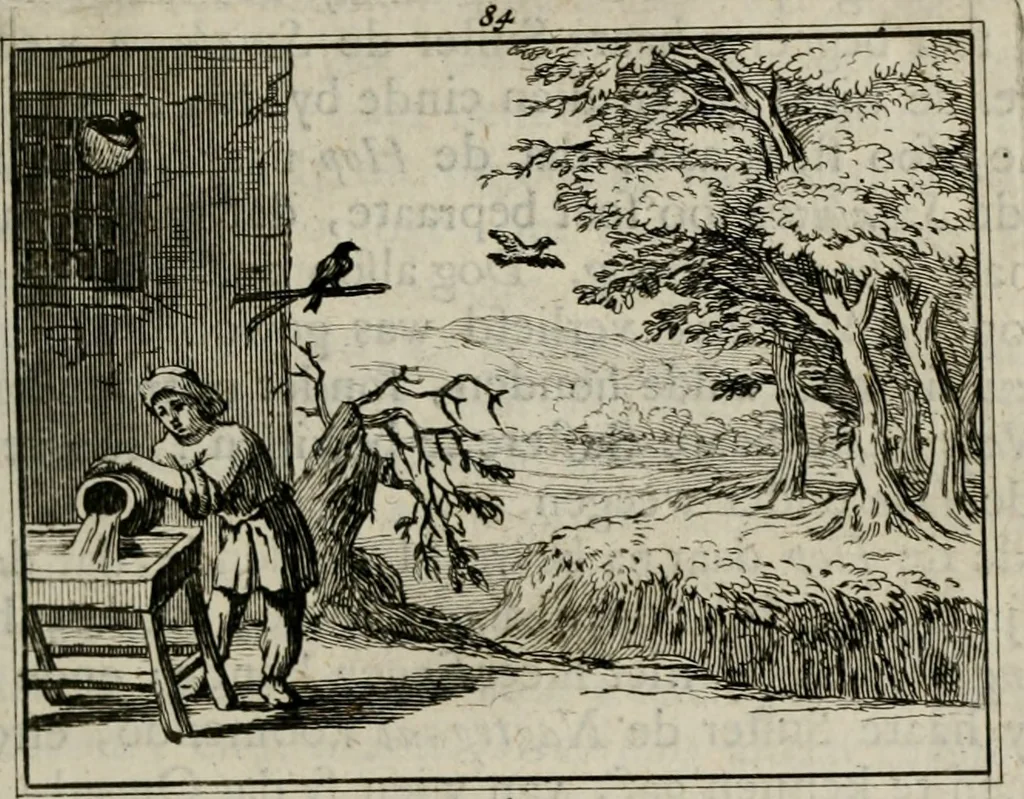 An illustration from Sinryke fabulen : verklaart en toegepast tot alderley zeede-lessen, dienstig om waargenoomen te werden in het menschelijke en burgerlijke leeven, 1685, leaf 580