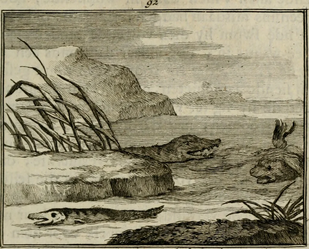 An illustration from Sinryke fabulen : verklaart en toegepast tot alderley zeede-lessen, dienstig om waargenoomen te werden in het menschelijke en burgerlijke leeven, 1685, leaf 664